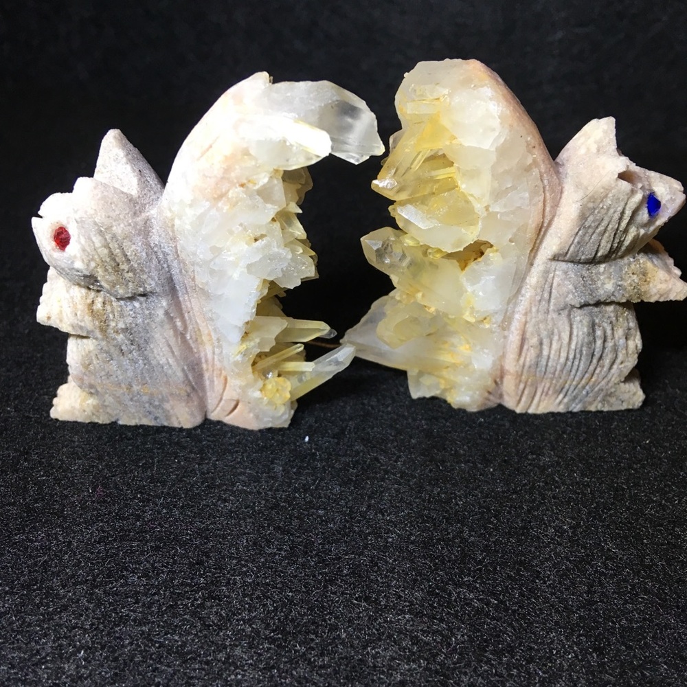 Beautiful Citrine squirrels